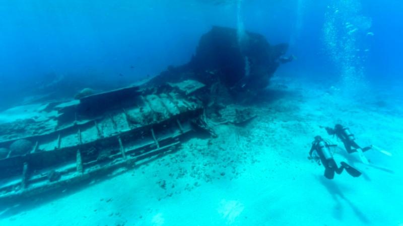 Experience scuba diving at either Palm Beach Reef, Migaloo Reef as well as the historic wreck of The Scottish Prince on this awesome double dive.
